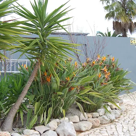 Villa Charming 3-bedroom With Wifi And Heating In Beautiful Santa Brbar
