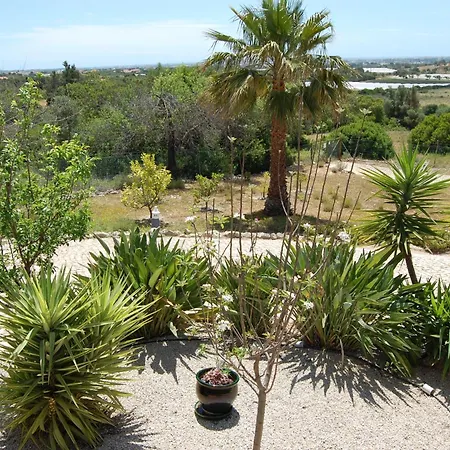 Charming 3-bedroom With Wifi And Heating In Beautiful Santa Brbar Villa